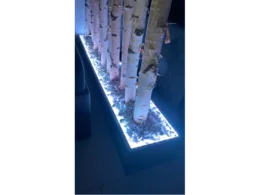 Birkenstämme in einem beleuchteten Kasten mit weißen Steinen