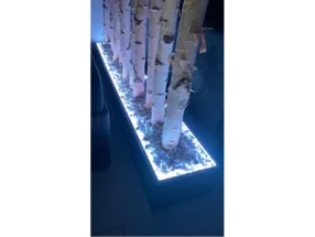 Birkenstämme in einem beleuchteten Kasten mit weißen Steinen