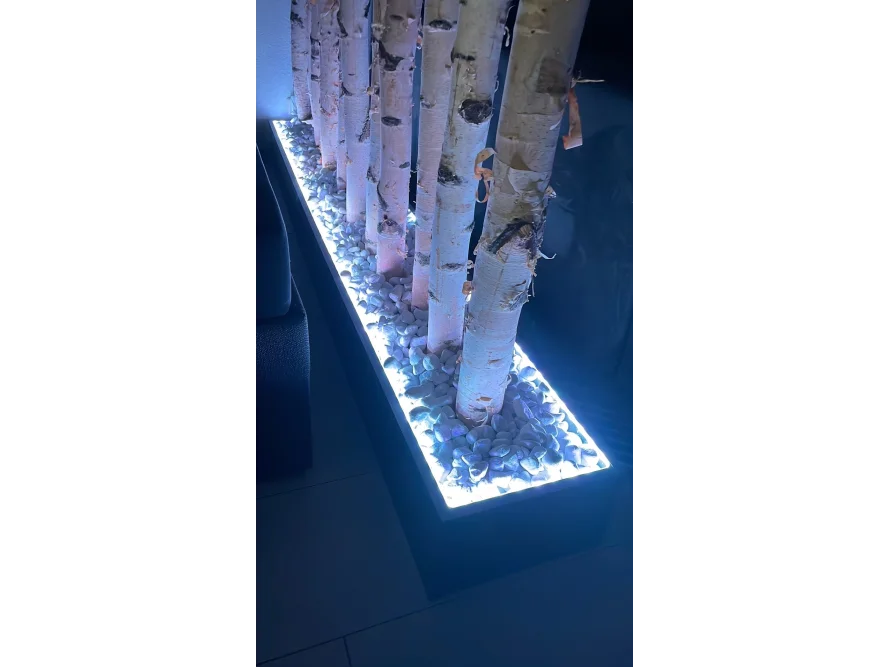 Birkenstämme in einem beleuchteten Kasten mit weißen Steinen