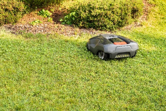 Mähroboter im Garten