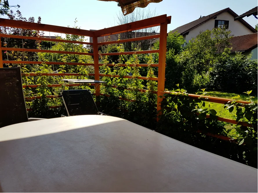Tisch auf Terrasse mit Rankgitter
