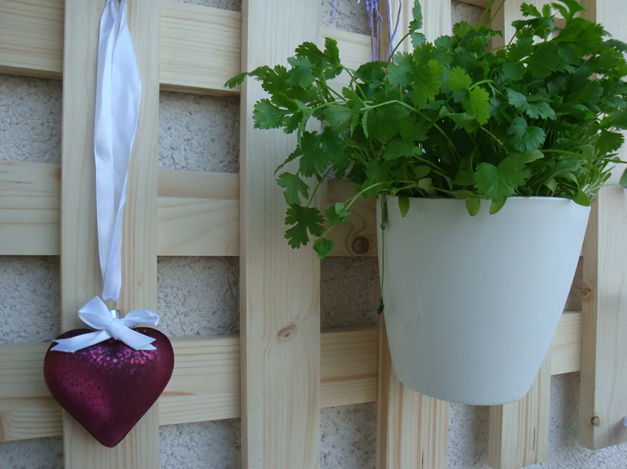 Kräutertopf und Herz an Holzgitter