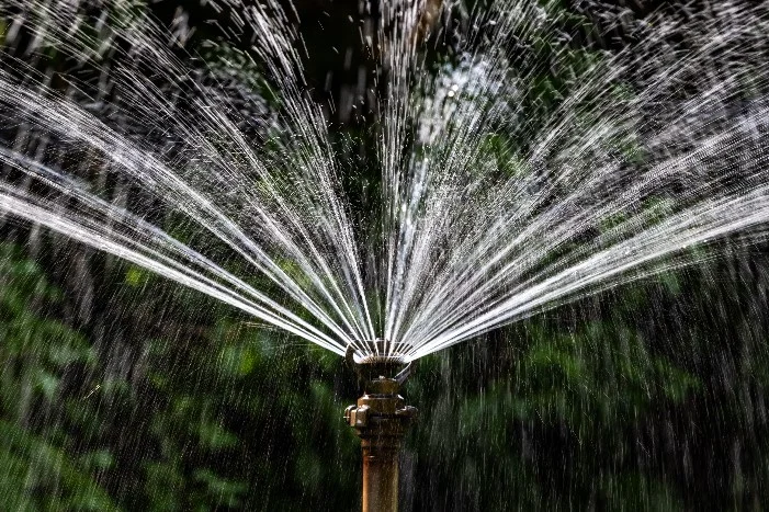 Sprinkler bewässert einen Garten