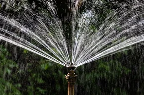Sprinkler bewässert einen Garten