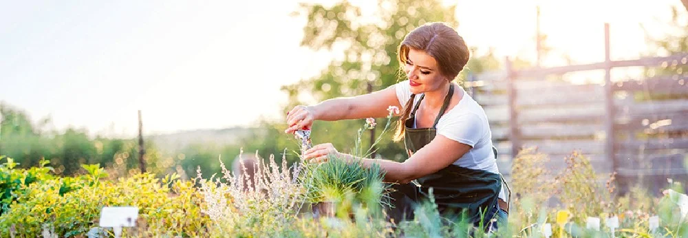 Person schneidet Pflanzen in einem Garten