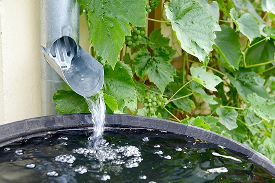 Regenwassertonne mit Fallrohr