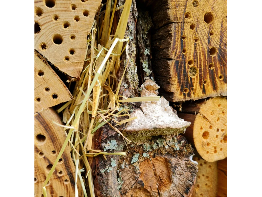 Insektenhotel Detailansicht