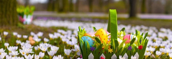 Osterkörbchen mit bunten Eiern in einem Krokusfeld.