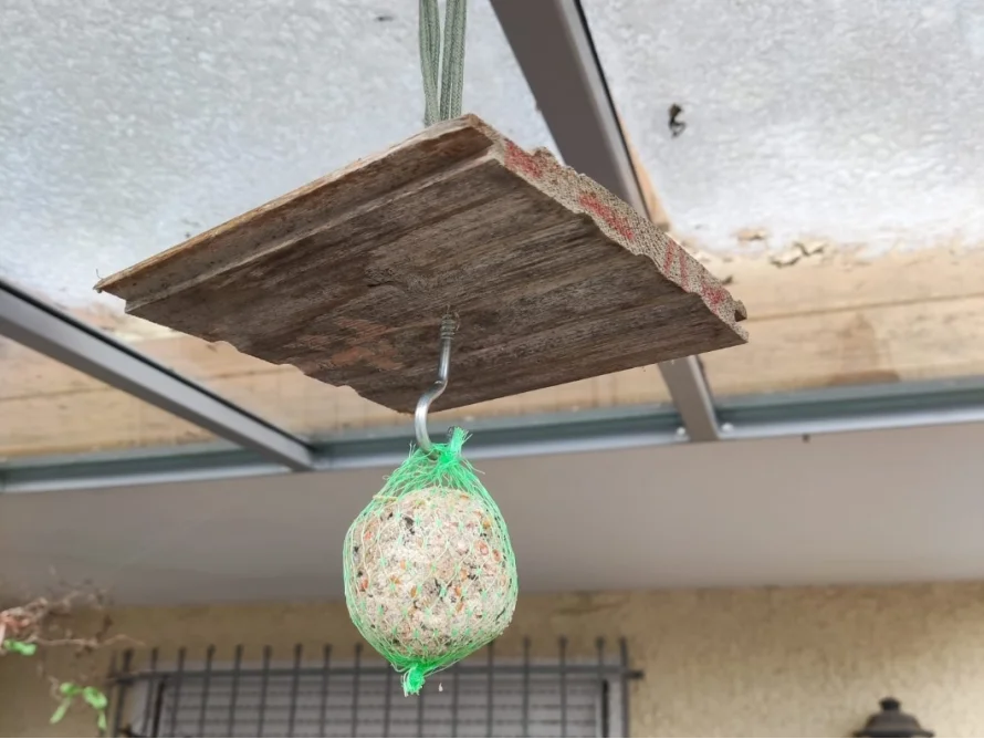 Meisenknödel an Holzbrett