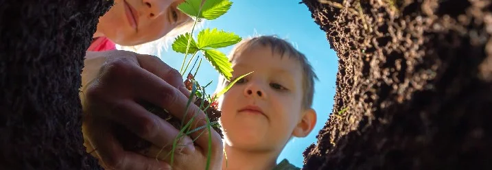 Zwei Personen pflanzen etwas ein