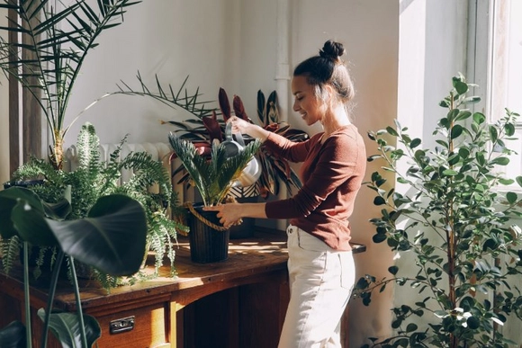 Frau steht in einem Raum voller Pflanzen und gießt diese