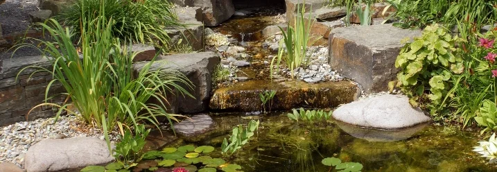 Gartenteich mit Seerosen