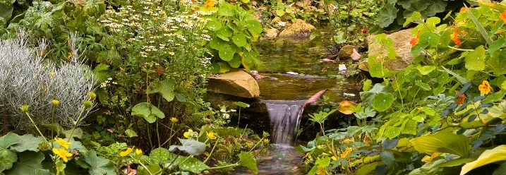 Ein kleiner Bachlauf im Garten