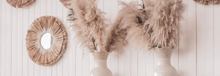 Getrocknetes Pampasgras in Vasen