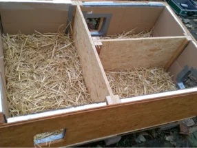 Tierstall mit Stroh ausgelegt