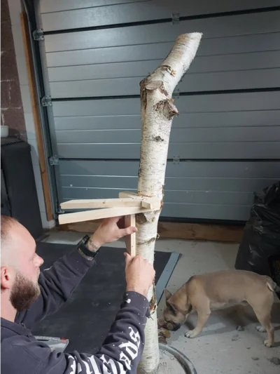 DIY Idee: Kratzbaum zum Selberbauen