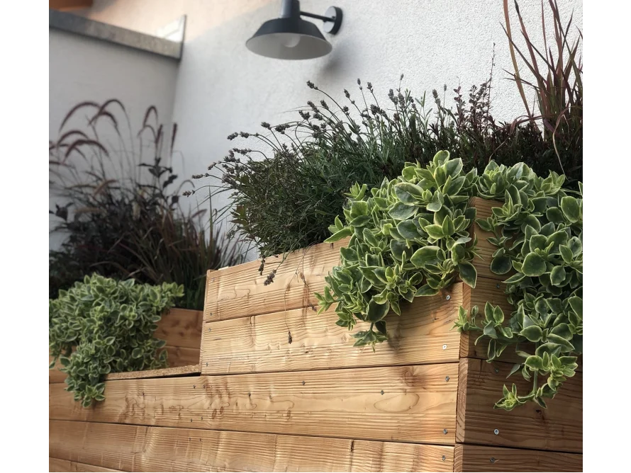 Holzbeet mit Pflanzen