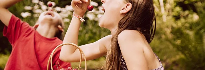 Zwei Personen essen Kirschen aus einem Korb.