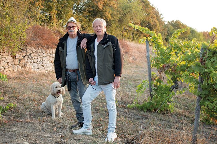 Zwei Männer und ein Hund stehen auf einem Weinfeld