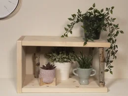 Holzregal mit Pflanzen