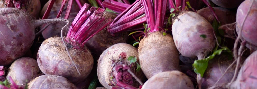 Rote Bete