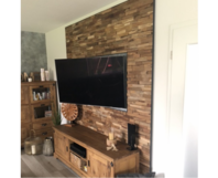 Ein Wohnzimmer mit einer Holzwand.
