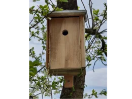Hölzerner Nistkasten an einem Baum