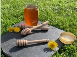 Honigglas mit Honiglöffeln und Löwenzahn