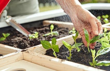 Square Foot Gardening So Funktionierts Toom Baumarkt