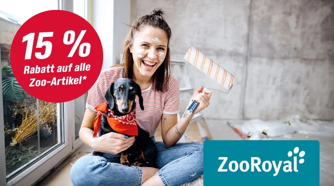 Lachende Person mit Hund und Farbrolle beim Renovieren.