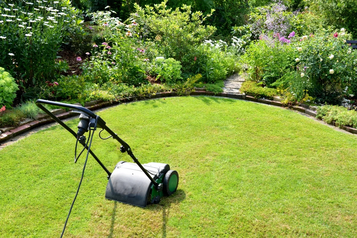 Vertikutierer auf einem gemähten Rasen