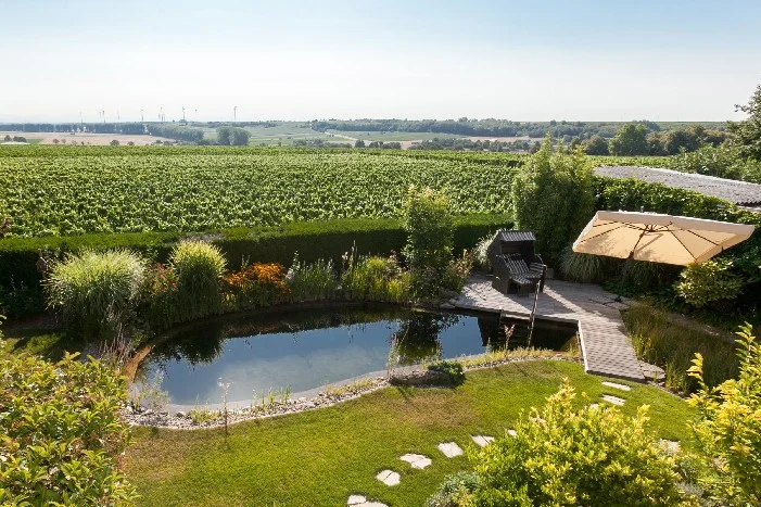 Schwimmteich im Garten