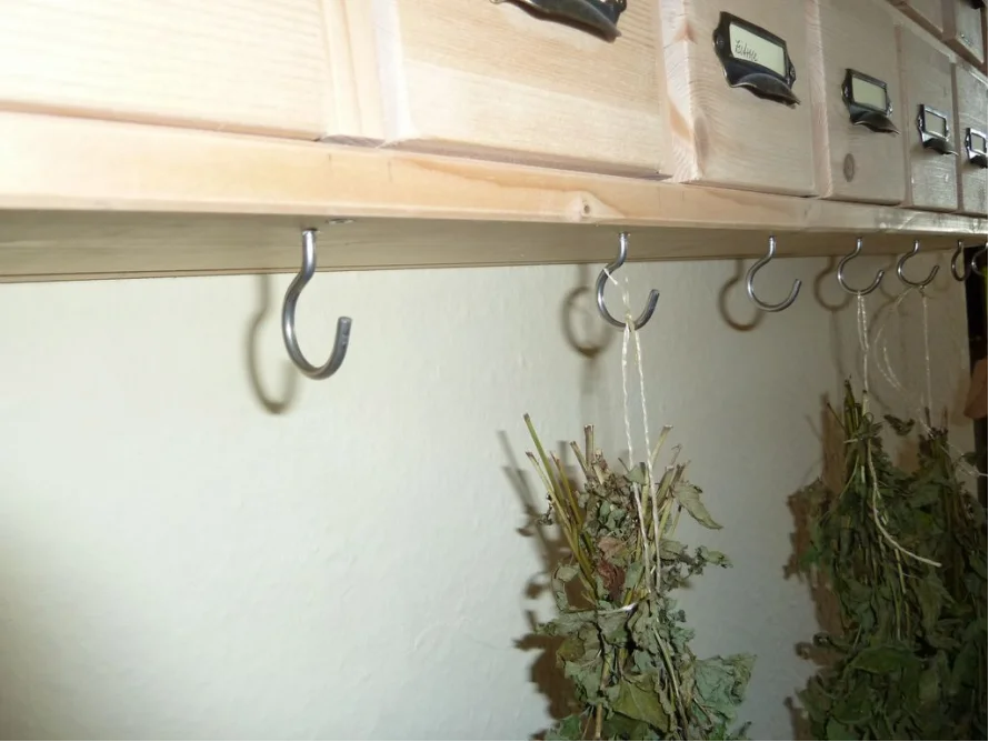 Getrocknete Kräuter hängen an Haken unter einem Regal