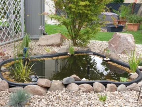 Kleiner Teich im Garten