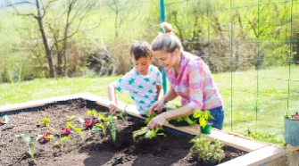 Personen pflanzen mit Gartengerät im Hochbeet