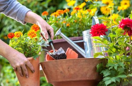 Gartenideen ǀ Toom Baumarkt