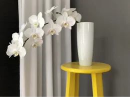 Weiße Orchidee in Vase auf gelbem Hocker