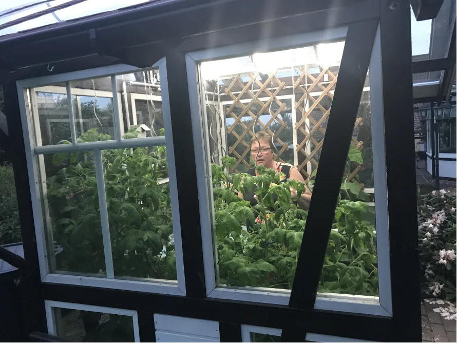 Person in einem Gewächshaus