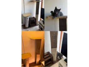 Ein selbstgebauter Kratzbaum aus Holz mit einer Katze darauf.