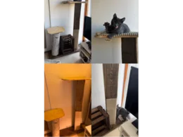 Ein selbstgebauter Kratzbaum aus Holz mit einer Katze darauf.