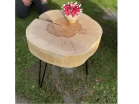 Beistelltisch aus Baumscheibe