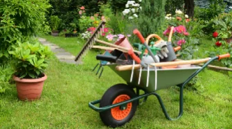 Person schneidet mit Gartenschere Pflanzen