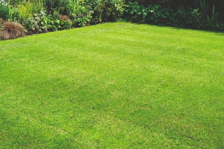 Gepflegter grüner Rasen im Garten