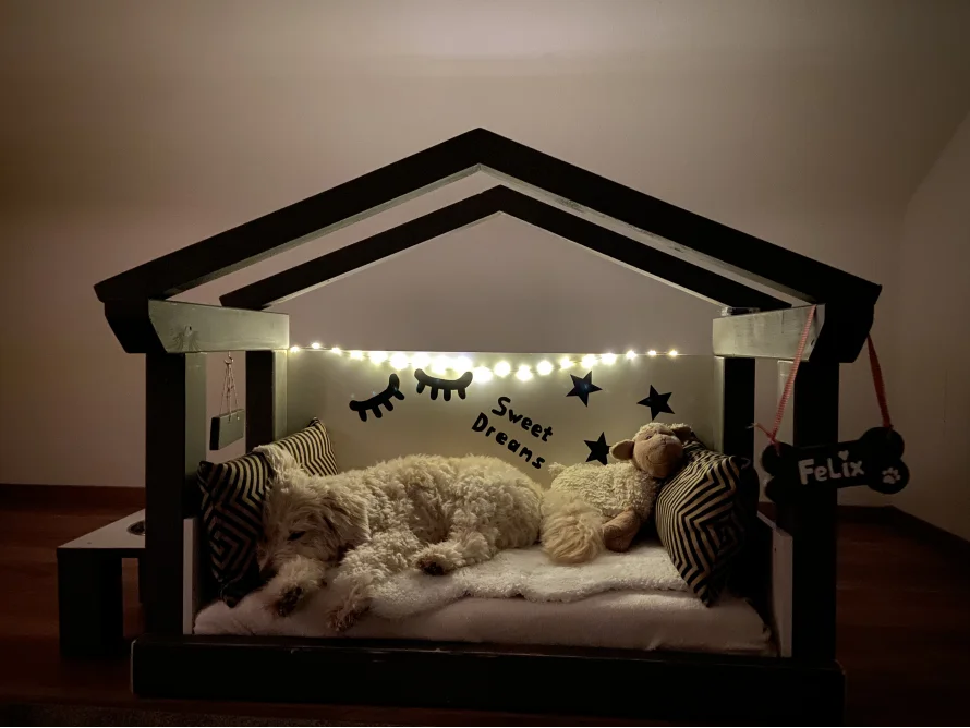 Hund schläft in einem Hundehüttebett