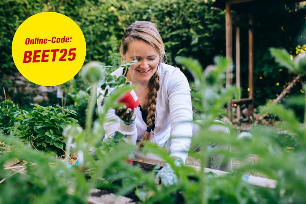 Online-Code: BEET25