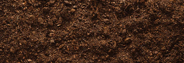 Dunkle lockere Gartenerde