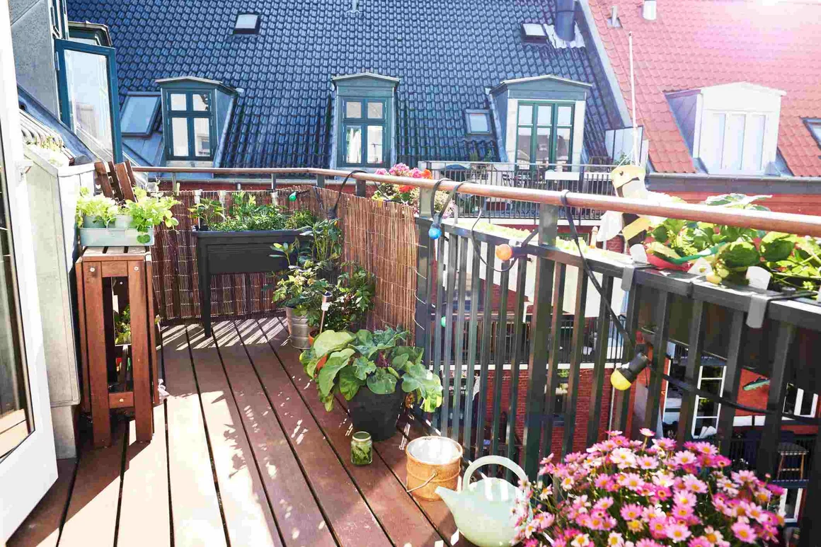 Sonniger Balkon mit vielen Pflanzen und Gießkanne