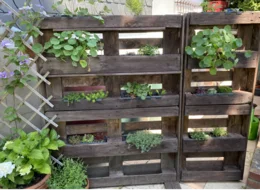 Vertikaler Garten mit Paletten