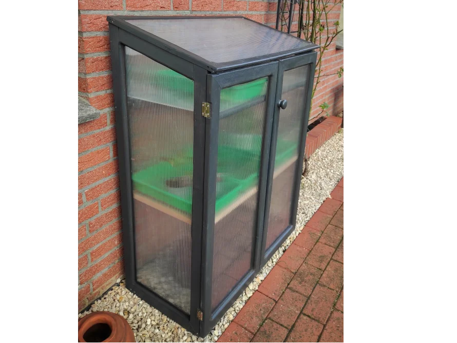 Kleines Gewächshaus aus Holz und Kunststoff