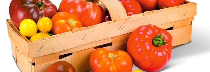 Verschiedene Tomatensorten in einem Korb